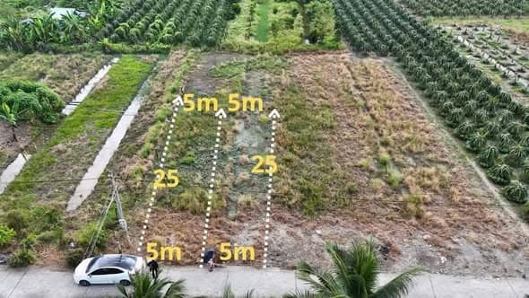 Bán Đất Thổ Cư Long An - Sổ Riêng, Mặt Tiền Đường Đan, Giá Tốt!