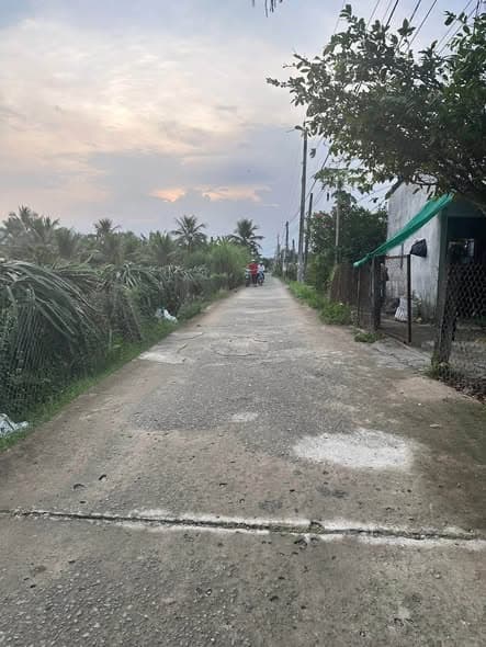 Bán đất lúa 1100m² tại Xã Vĩnh Công, Châu Thành, Long An - Sổ sẵn, giá tốt!