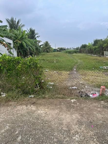 Bán đất lúa 1100m² tại Xã Vĩnh Công, Châu Thành, Long An - Sổ sẵn, giá tốt!