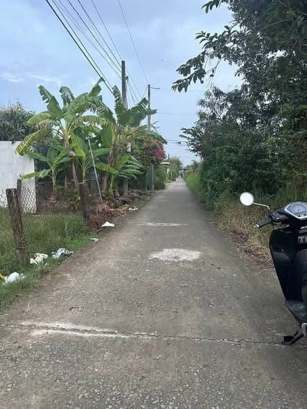 Bán đất lúa 1100m² tại Xã Vĩnh Công, Châu Thành, Long An - Sổ sẵn, giá tốt!