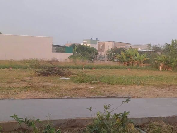 Bán nhanh 5 lô F0 Lộc Trung Mỹ Lộc Cần Giuộc, Long An - Sổ sẵn, giá tốt