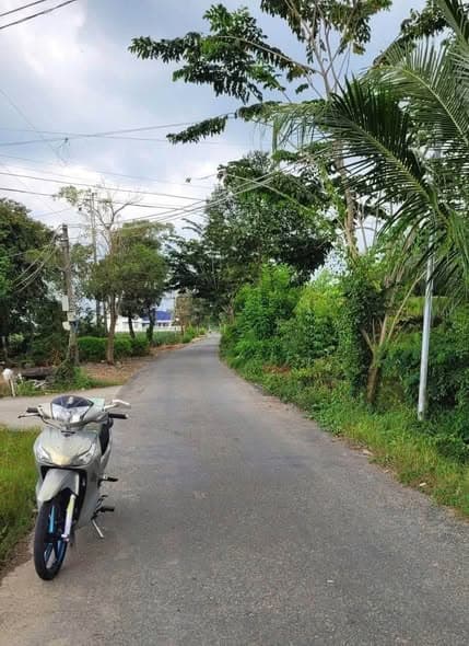 Bán Đất Lúa 1195m2 Hai Mặt Tiền Tại Châu Thành, Long An - Giá Tốt, Sổ Đỏ Full Thổ Cư