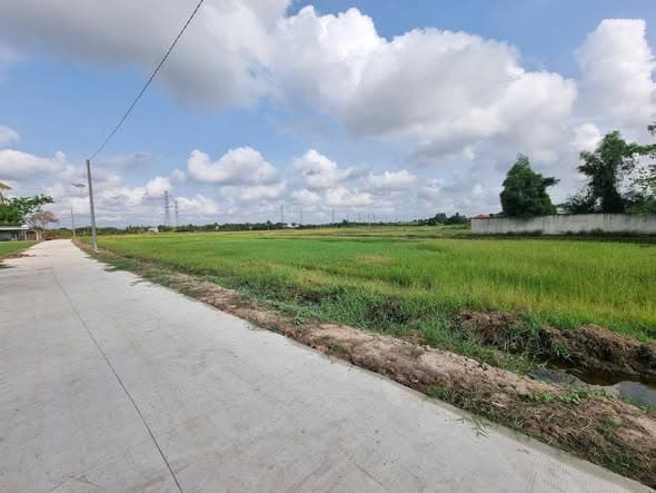 Bán Gấp Lô Đất Lúa Mặt Tiền 200m Tại Hòa Khánh Tây, Đức Hòa - Giá Đầu Tư Chỉ 66 Triệu/m Ngang