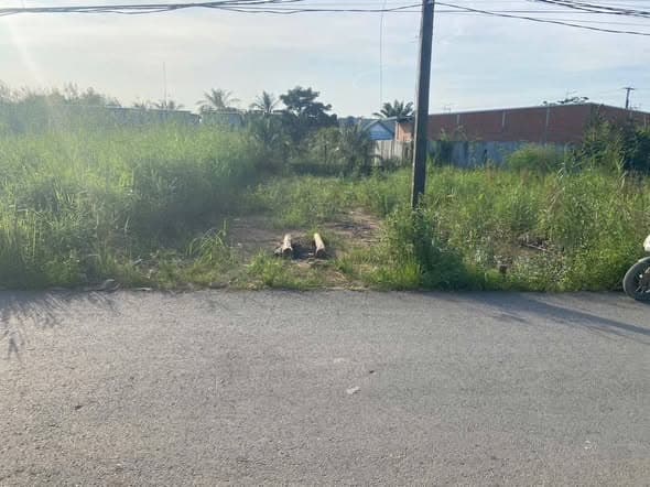 Giá Tốt! Đất Thổ Cư 122.5m2 Gần Nhựa Gò Hưu, Mỹ Hạnh Nam, Chỉ 1.9 Tỷ