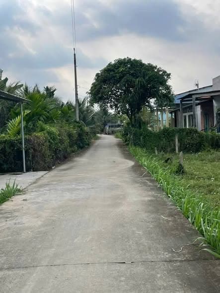 Bán Gấp Đất Thổ Cư 120m2 Tại Vĩnh Công, Châu Thành, Giá Chỉ 450 Triệu