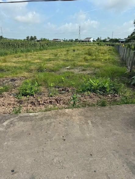 Bán Gấp 1.167m2 Đất Lúa View Kênh Tại Vĩnh Công, Châu Thành - Giá Đầu Tư Chỉ 1.3 Tỷ