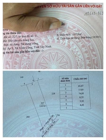 Bán Gấp 1.167m2 Đất Lúa View Kênh Tại Vĩnh Công, Châu Thành - Giá Đầu Tư Chỉ 1.3 Tỷ