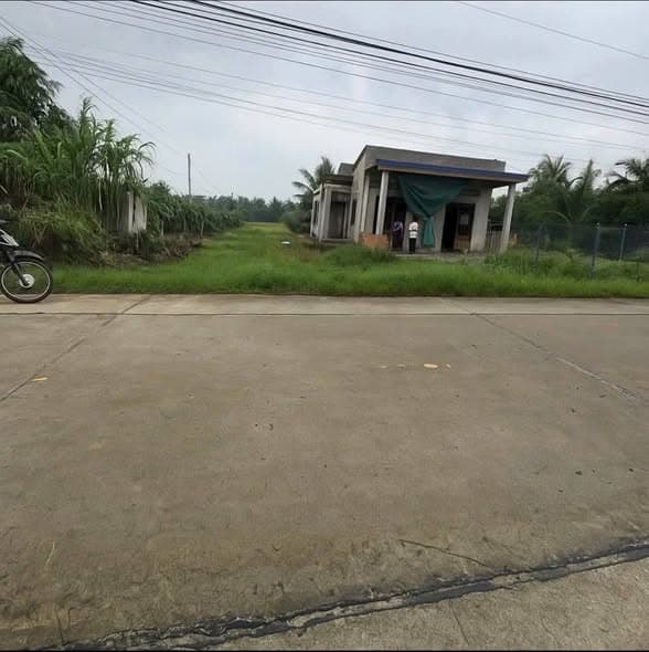 Bán Gấp Đất Thổ Cư Mặt Tiền Lộ Dừa, Châu Thành, Long An - Giá Chỉ 1 Tỷ